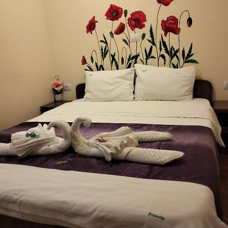 Vila Poienita Caciulata Călimăneşti Bagian luar foto