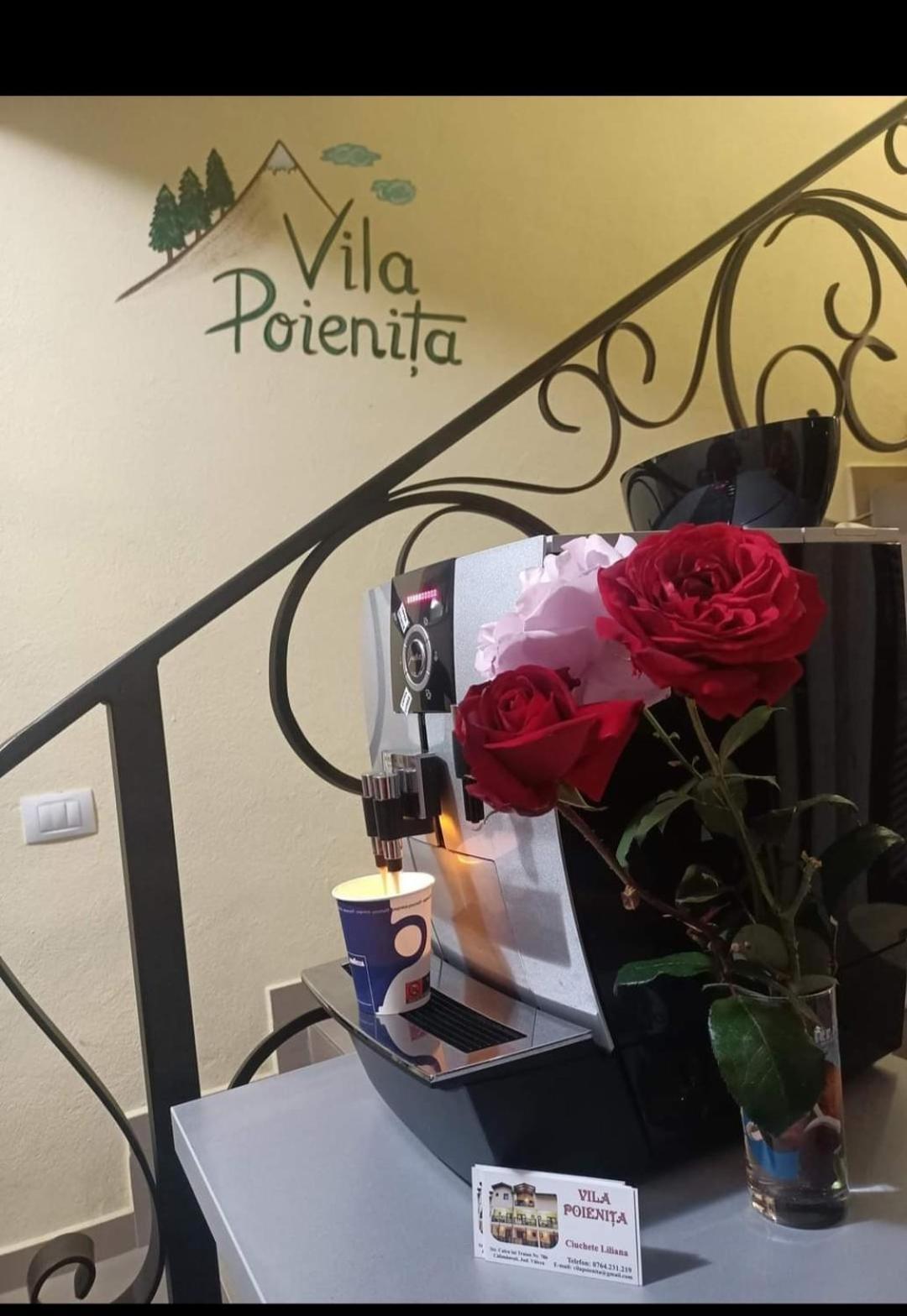 Vila Poienita Caciulata Călimăneşti Bagian luar foto